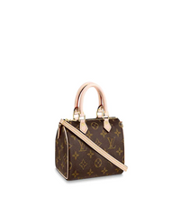 LV Nano Speedy Monogram